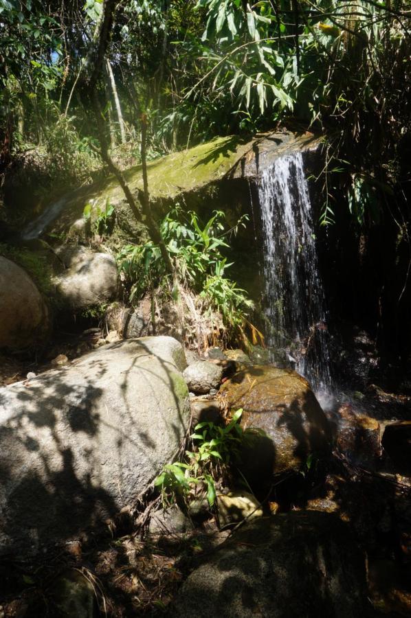 Ecofinca Fuente Alegre Cocorna Bagian luar foto