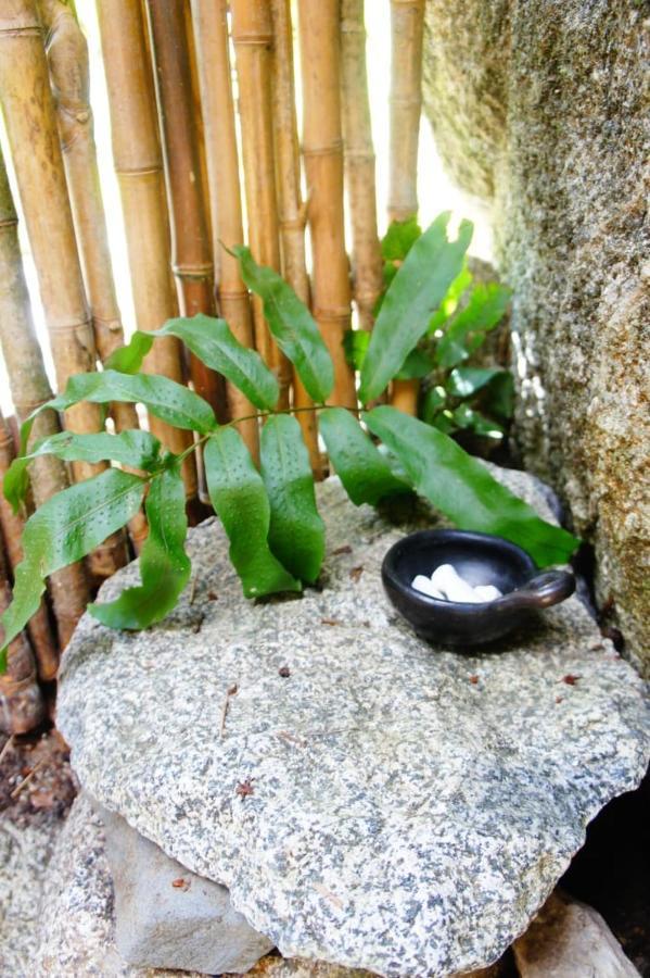 Ecofinca Fuente Alegre Cocorna Bagian luar foto