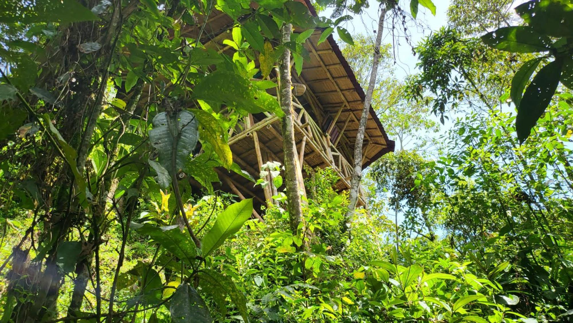 Ecofinca Fuente Alegre Cocorna Bagian luar foto