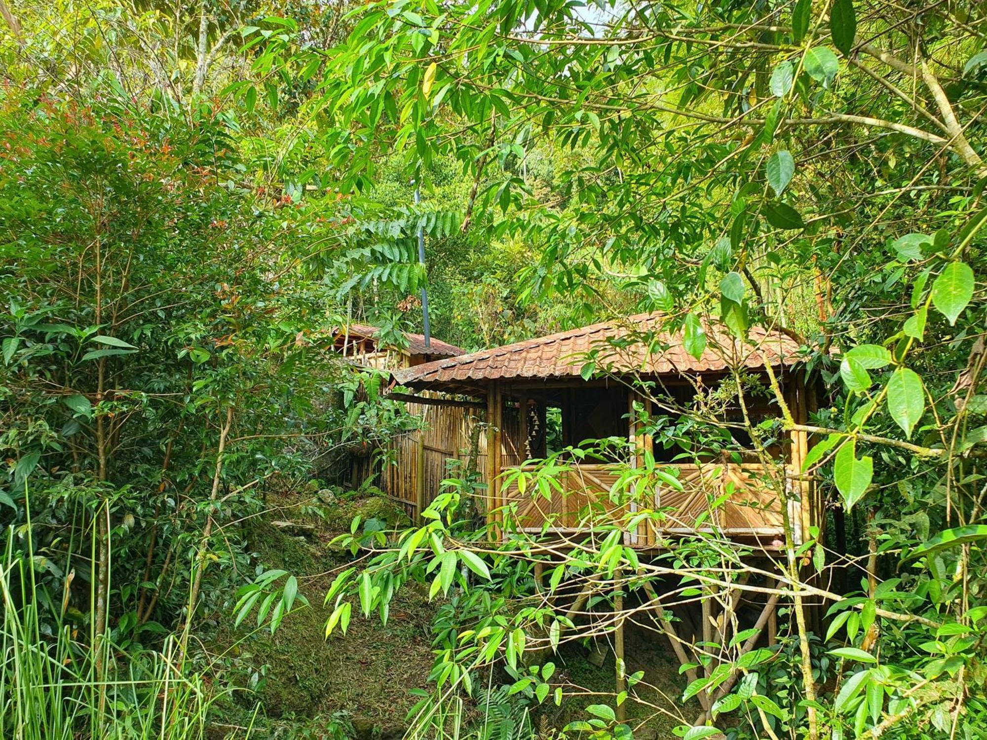 Ecofinca Fuente Alegre Cocorna Ruang foto