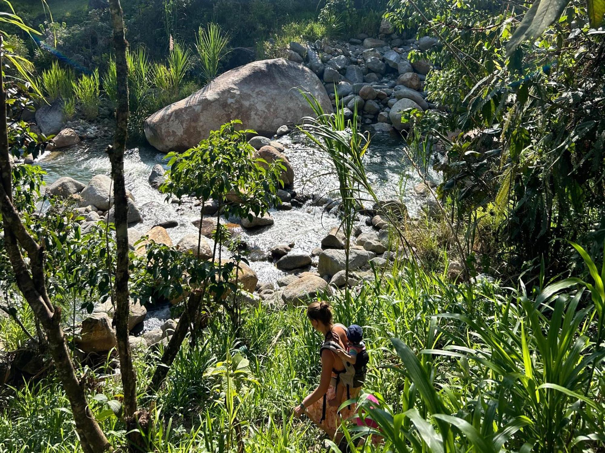 Ecofinca Fuente Alegre Cocorna Bagian luar foto