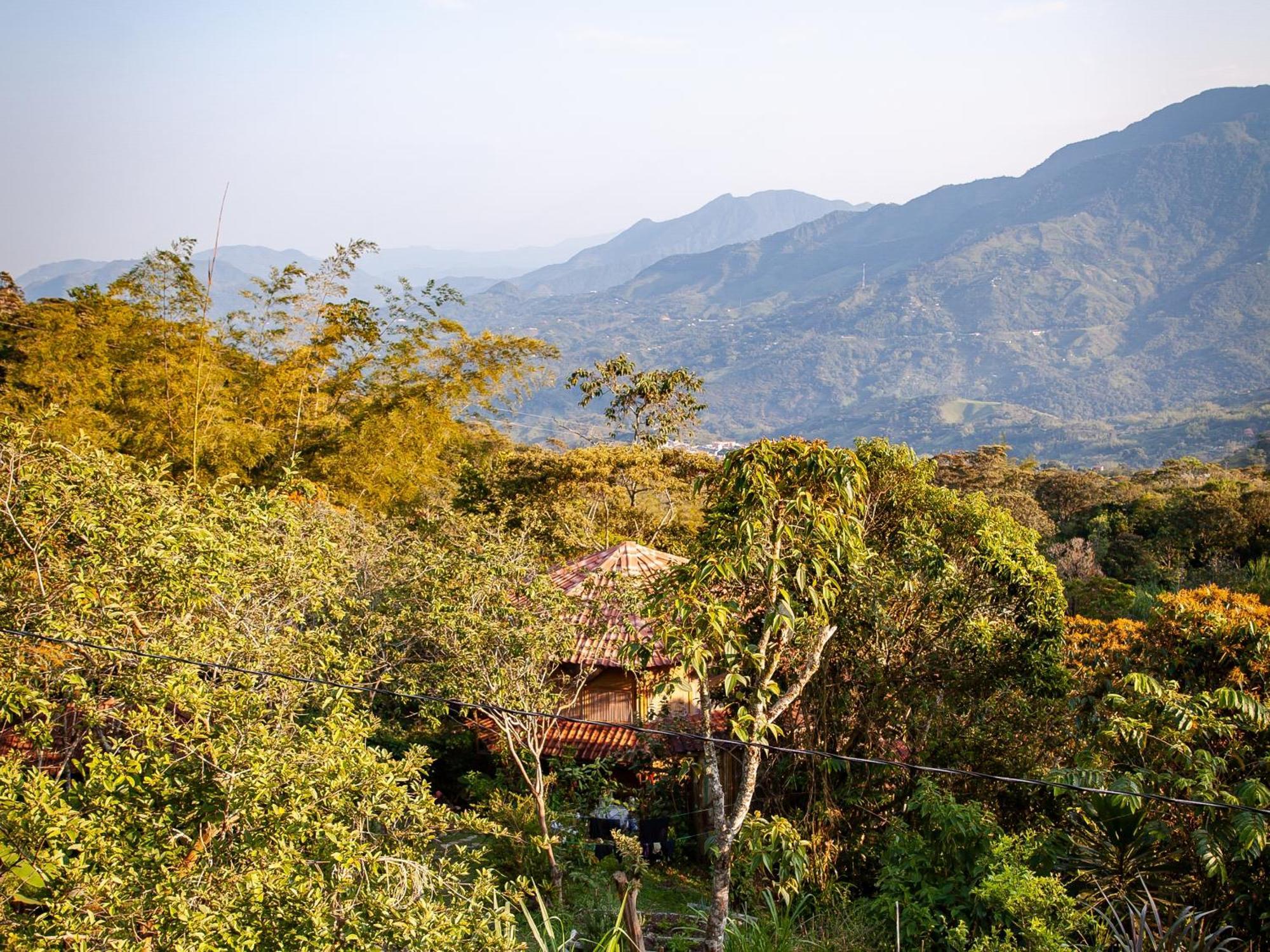 Ecofinca Fuente Alegre Cocorna Bagian luar foto